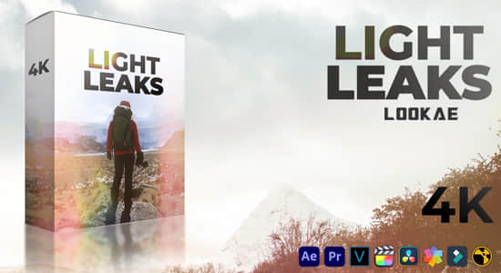 4K视频素材-61个镜头漏光耀眼炫光闪烁叠加动画 Light Leaks-精品资源站