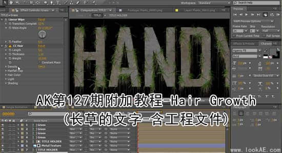 AK第127期附加教程-Hair Growth(长草的文字-含工程)-精品资源站
