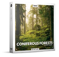 Coniferous Forests 181组高品质自然针叶林森林虫鸣鸟叫声音效