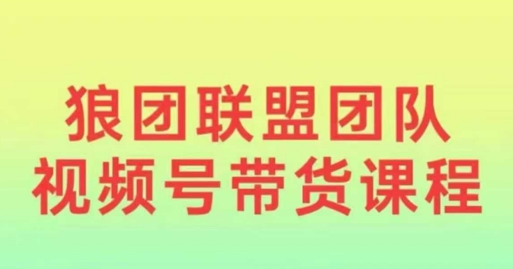狼团联盟2024视频号带货，0基础小白快速入局视频号-精品资源站