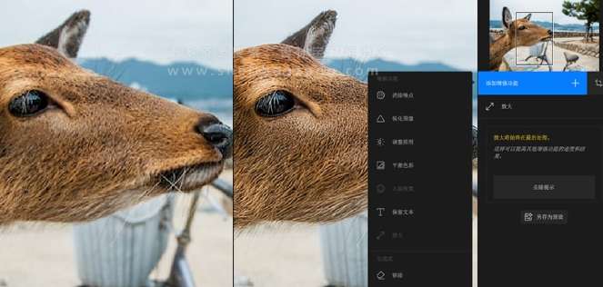 Topaz Photo AI v3.0.5最强AI图像增强锐化降噪放大软件 支持PS插件 兼容Win/Mac中文汉化版