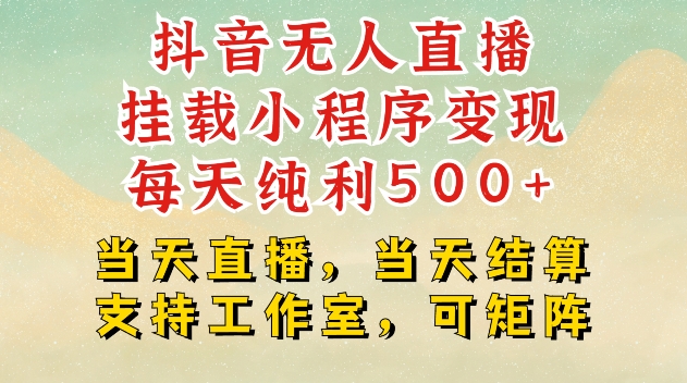 抖音无人直播挂载小程序变现每天纯利500+当天直播，当天结算支持工作室，可矩阵【揭秘】-精品资源站