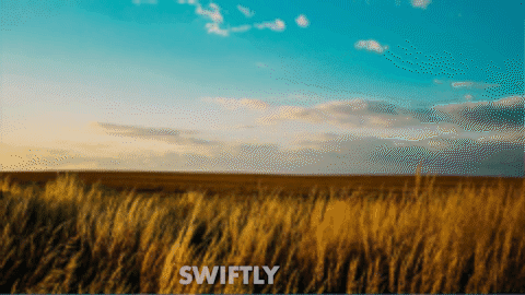 PR模板-850个缩放炫光毛刺干扰透视平移无缝视频转场Premiere预设+使用教程-LookAE.com PR模板-850个缩放炫光毛刺干扰透视平移无缝视频转场Premiere预设+使用教程