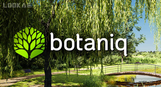 花草树木植物绿化模型Blender预设Botaniq Tree And Grass Library V7.0.0-精品资源站