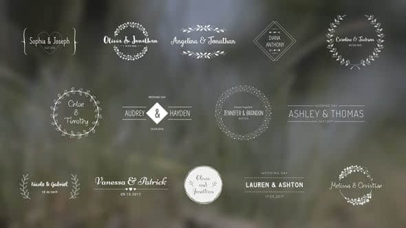 AE模板-复古时尚可爱浪漫爱情婚礼新郎新娘姓名婚期标题动画-精品资源站