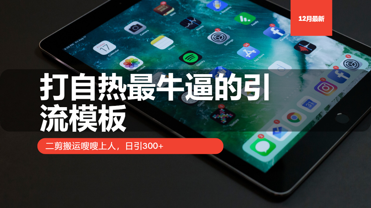 打自热最牛逼的引流模板，二剪搬运嗖嗖上人，日引300+-精品资源站