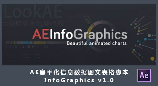 AE脚本：扁平化信息数据图文动画脚本 InfoGraphics v1.0（附教程）-精品资源站