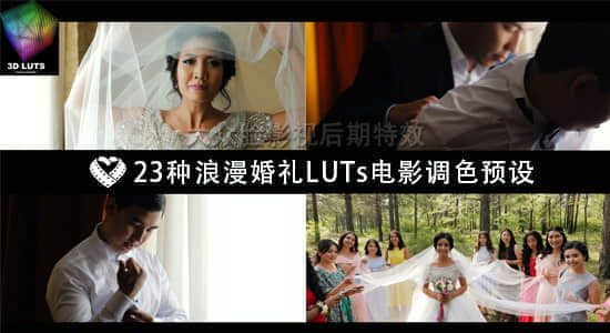 23种浪漫唯美婚礼 LUTs 电影调色预设 LAPARDIN WEDLUTS-精品资源站