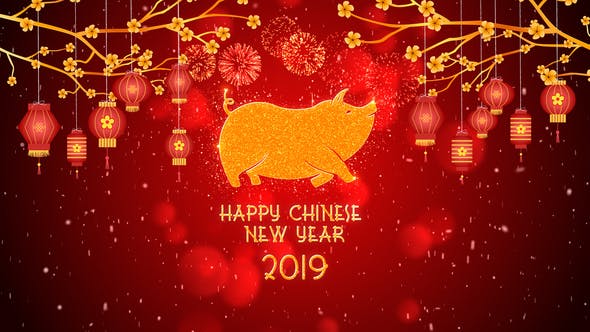 AE模板-欢快喜庆桃花悬挂灯笼照片文字中国新年片头 Chinese New Year 2019-精品资源站