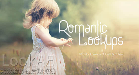 Win/Mac版：50组唯美浪漫LUTs电影风格调色预设 50 Romantic Lookups-精品资源站