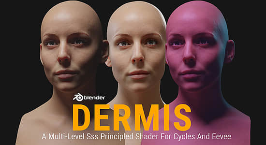 Blender插件-真实皮肤着色器预设 Dermis Shader V1.1-精品资源站
