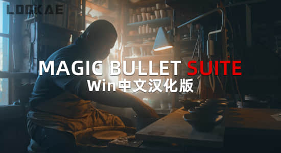Win中文汉化-红巨人降噪磨皮美颜调色套装AE/PR插件 MBS 2024.1.0-精品资源站