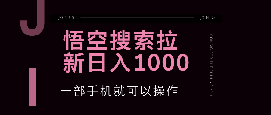 (12717期)悟空搜索类拉新 蓝海项目 一部手机就可以操作 教程非常详细