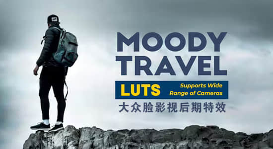 30组户外旅行游玩VLOG记录LUTs调色预设 Moody Travel LUTs-精品资源站