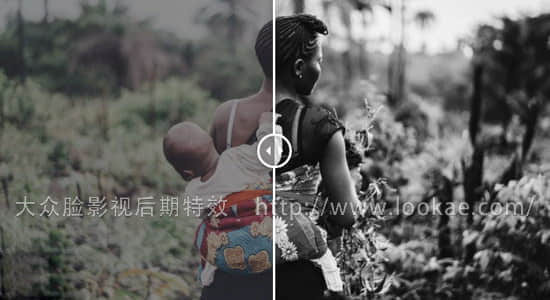 16种黑白风格专业电影LUTs调色预设 Black White Films Win/Mac-精品资源站