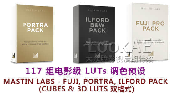 117组 LUTs 专业电影调色预设 Mastin Labs – Fuji, Portra, Ilford Pack cubes & 3dl-精品资源站