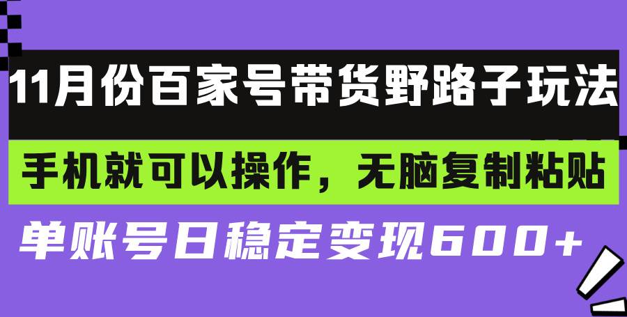 （13281期）百家号带货野路子玩法 手机就可以操作，无脑复制粘贴 单账号日稳定变现…-精品资源站