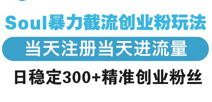 （13935期）Soul暴力截流创业粉玩法，当天注册当天进流量，日稳定300+精准创业粉丝-精品资源站