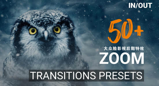 Premiere预设-50种高质量独特冲击缩放过渡转场预设 50 Zoom Transition Presets-精品资源站