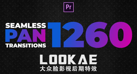 PR预设-1260个动感移动缩放模糊干扰无缝视频转场 Seamless Pan Transitions-精品资源站