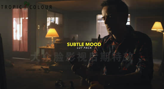 50个黑暗弱光夜晚环境电影视频调色LUTs预设Tropic Colour-Subtle Mood LUTs（FCPX/PR/PS/AE/达芬奇）-精品资源站