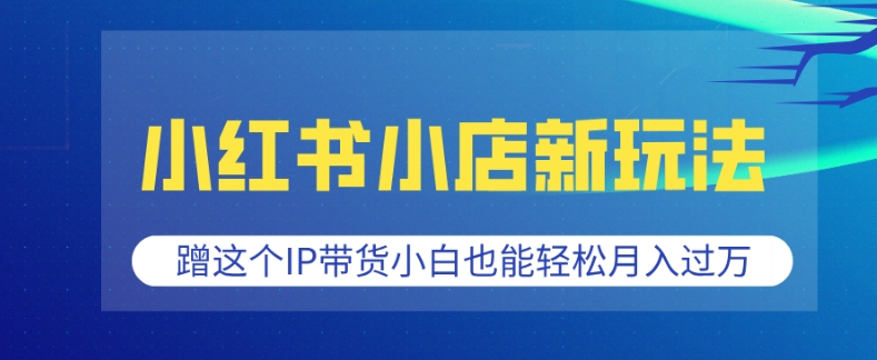 小红书小店新玩法，蹭这个IP带货，小白也能轻松月入过W【揭秘】-精品资源站