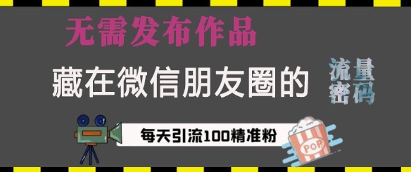 藏在微信朋友圈的流量密码，无需发布作品，单日引流100+精准创业粉【揭秘】-精品资源站