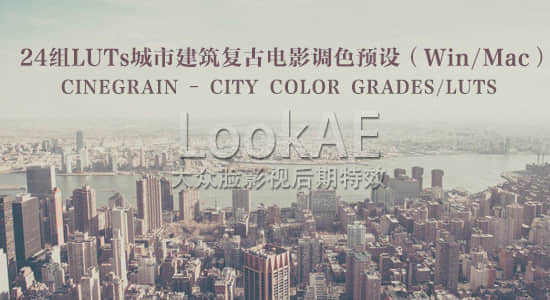 Win/Mac：24组LUTs城市建筑复古电影调色预设 CINEGRAIN – CITY COLOR GRADES/LUTS-精品资源站