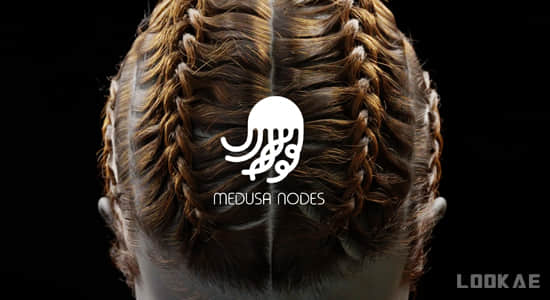 Blender插件-头发系统程序制作器 Medusa Nodes v1.0.4-精品资源站
