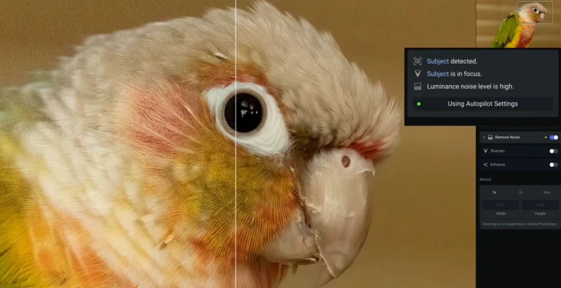 Topaz Photo AI v1.2.6图片无损放大变清晰锐化软件含离线模型库