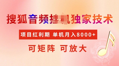全网首发搜狐音频挂JI独家技术，项目红利期，可矩阵可放大，稳定月入8k【揭秘】-精品资源站