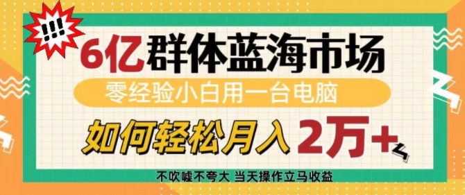 6亿群体蓝海市场，零经验小白用一台电脑，如何轻松月入过w【揭秘】-精品资源站