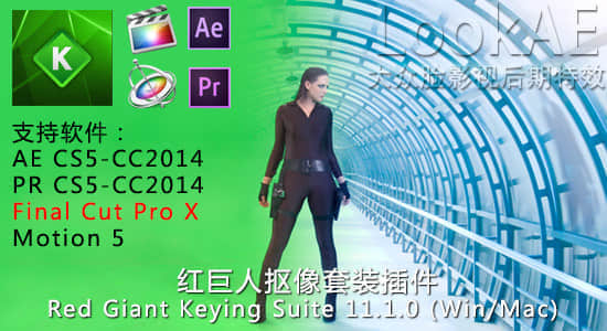 红巨人抠像套装插件 Red Giant Keying Suite 11.1.11 支持 CC 2019-精品资源站