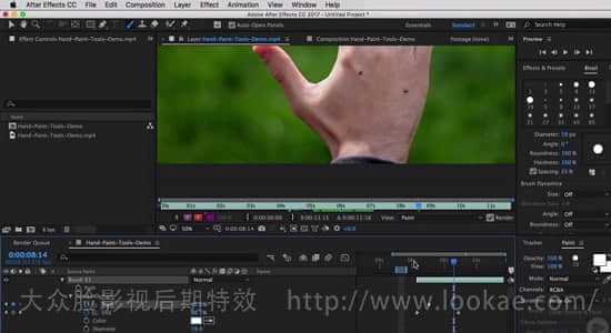 AE教程：绘画工具讲解操作教程 Pluralsight – After Effects CC Paint Tools-精品资源站
