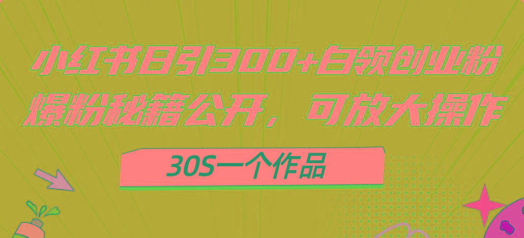 小红书日引300+高质白领创业粉，可放大操作，爆粉秘籍！30s一个作品-精品资源站