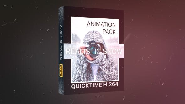 4K视频素材-21个冬日下雪雪花粒子飘散动画 Realistic Snow Effects Pack-精品资源站