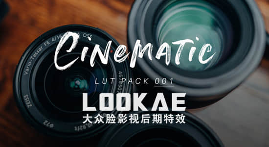 12组索尼Sony摄像机专用视频调色LUTs预设（AE/PR/FCPX/PS/达芬奇/OFX）-精品资源站