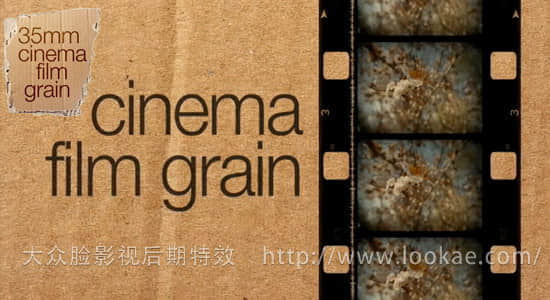 FCPX插件：35mm电影胶片颗粒 FCPeffects – Cinema Film Grain-精品资源站