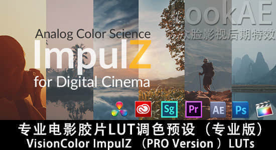 专业电影胶片LUT调色预设（专业版）VisionColor ImpulZ LUTs PRO Version-精品资源站