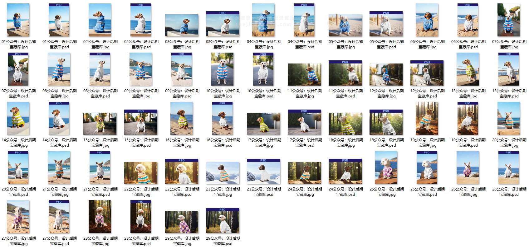 宠物狗衣服贴图PS样机模版29款TB5