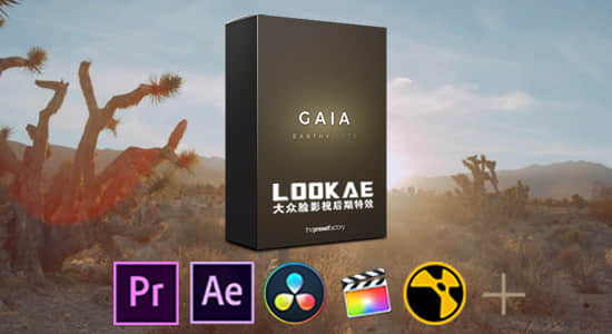 12套自然柔和LUTs调色预设 The Preset Factory – Gaia（FCPX/PR/PS/AE/达芬奇/OFX）-精品资源站