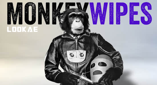 AE脚本-图层切割拆分拼贴变换动画工具 Monkey Wipes V1.00 + 使用教程-精品资源站
