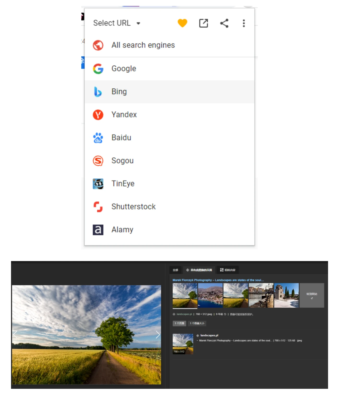 以图搜图,最强插件Search by Image!