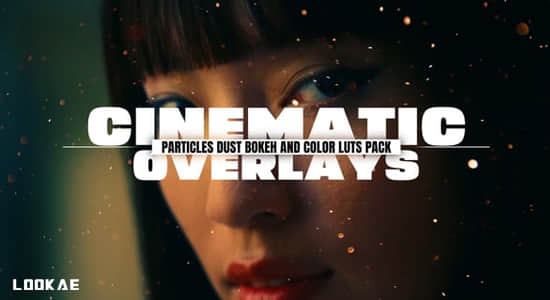 4K视频素材-15组电影粒子灰尘漂浮氛围叠加动画 Cinamatic Particles Dust Bokeh-精品资源站
