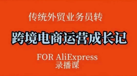 跨境电商速卖通运营课，​运营方法论+后台实操，逻辑清晰-精品资源站