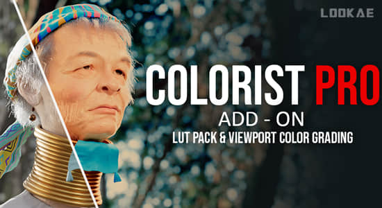 Blender插件-专业色彩分级LUTs调色工具 Colorist Pro V1.0.0+Asset预设-精品资源站