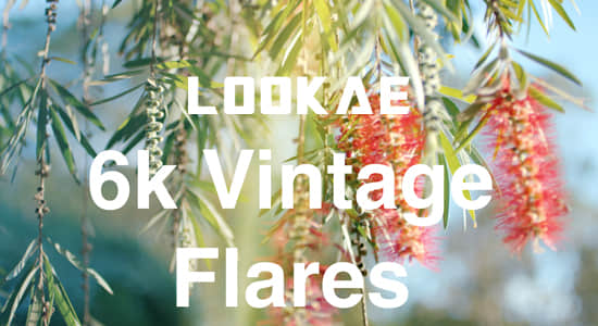 4K视频素材-65个复古镜头光效动画叠加动画 Vintage Flares-精品资源站