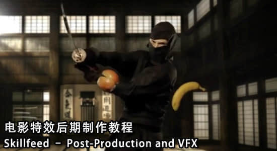 电影特效后期制作教程 Skillfeed–Post-Production and VFX-精品资源站