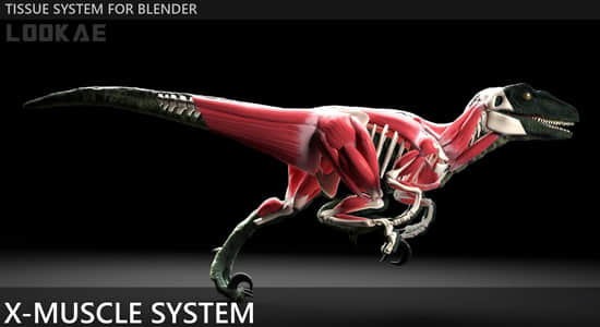 Blender插件-肌肉系统模拟工具 X-Muscle System 2.47-精品资源站