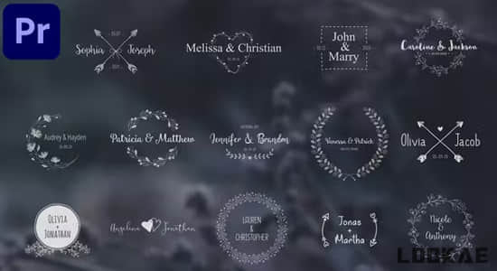 PR模板-14种浪漫小清新藤蔓图形爱情婚礼文字标题动画 Wedding Titles Pack-精品资源站